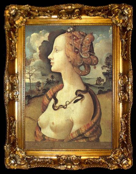 framed  Piero di Cosimo Simonetta Vespucci (mk45), ta009-2